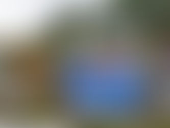 Apakah Dasar Parti Jadi Pilihan Pengundi?