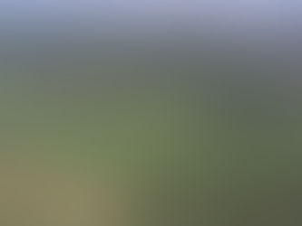 Kerajaan perkukuh komitmen terhadap pengurusan hutan secara lestari