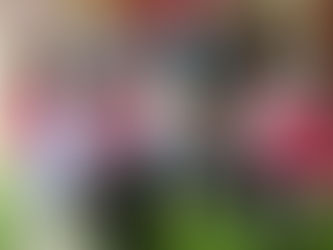 Yayasan MBI tampil bantu pastikan impian Aaron jadi kenyataan