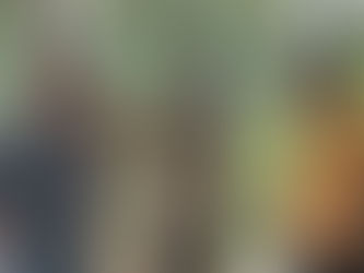 Projek tanaman halia Madani wadah tingkat pendapatan warga desa