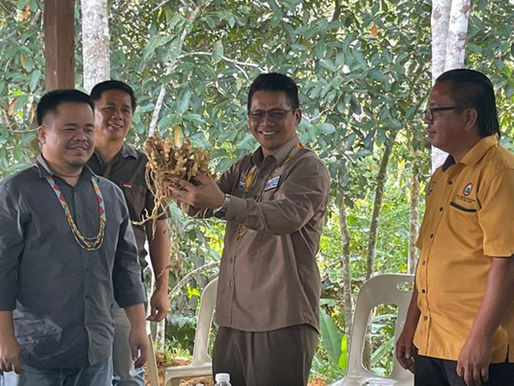 Projek tanaman halia Madani wadah tingkat pendapatan warga desa