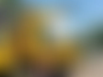 NGO bantu pasang lampu solar di kawasan sekolah DUN Gurun