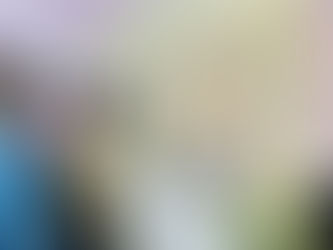 Semangat juang Aunty Bersih begitu tinggi, memaknai Reformasi