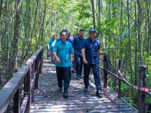 Pulih paya bakau mesti beri manfaat kepada komuniti tempatan