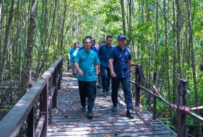 Pulih paya bakau mesti beri manfaat kepada komuniti tempatan
