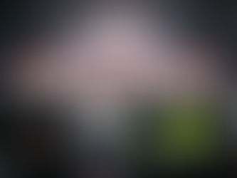 Bantahan antarabangsa digerakkan jika konvoi ke Gaza dipintas - PM