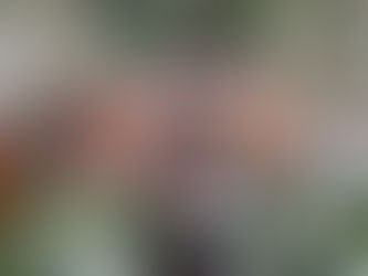 Wanita KEADILAN Johor anjur Iftar Hari Wanita Antarabangsa, perkasa usahawan