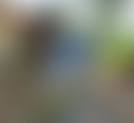 CORET-CORET AIDILFITRI 2026: Lemang Daun Lerek Sajian Istimewa Cikgu Faizal