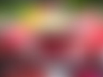 PH fokus kempen dekati pengundi secara berhikmah, berfakta, dengar masalah