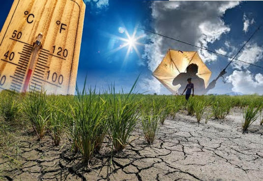 PETRA rancang pelan tindakan hadapi risiko kemarau