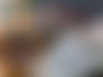 Sarawak teliti pendekatan lebih berkesan kawal jangkitan rabies