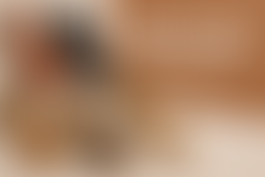 👠💃 Tanzschuhe – deine treuesten Begleiter auf der Tanzfläche! 🕺✨