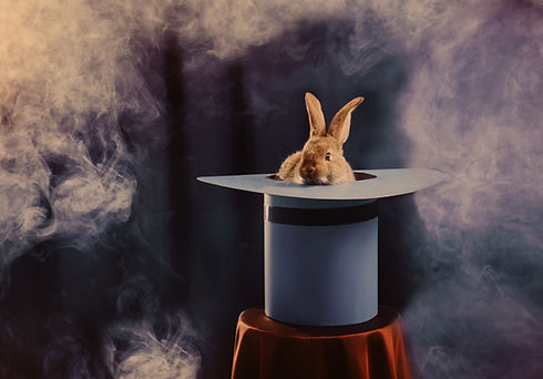 rabbit in hat on blue background.jpg