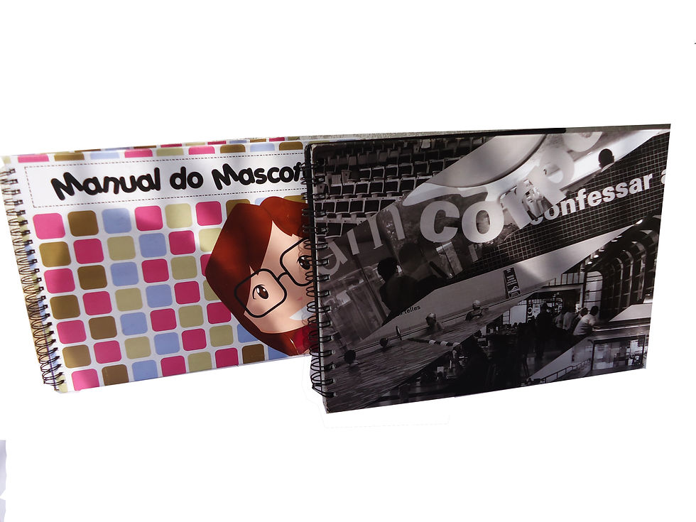 Manuais de identidade Visual