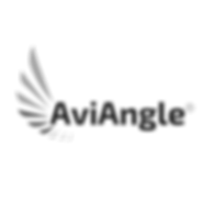 AviAngle (2).png