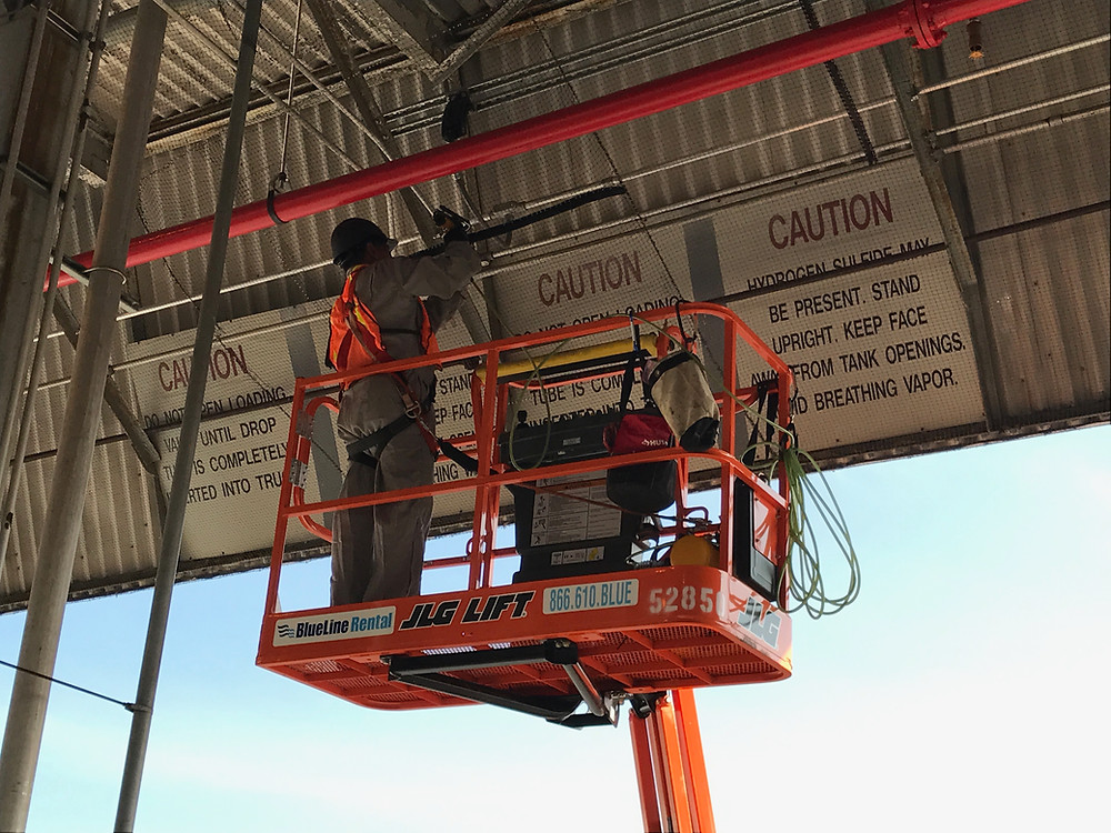 Bird Netting Application