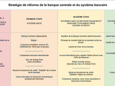 Stratégie volontaire de bitcoinisation du système monétaire international