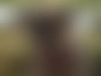 Uma Critica Ruim Pra Cachorro