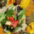 Special Veggie Combo