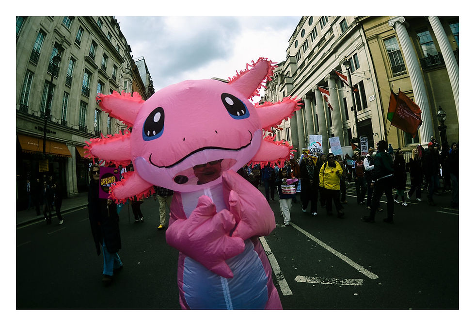 A person in a pink axolotl costume leads a diverse crowd in a street protest. Colourful banners and urban buildings set the lively scene. Together Alliance, London, March 2026