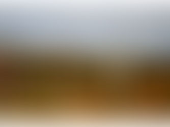Photo gallery - Hampstead Heath, North London