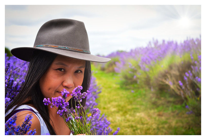 Woman in a hat holds lavender, surrounded by a lavender field under a bright sky. She gazes at the camera, creating a serene mood.