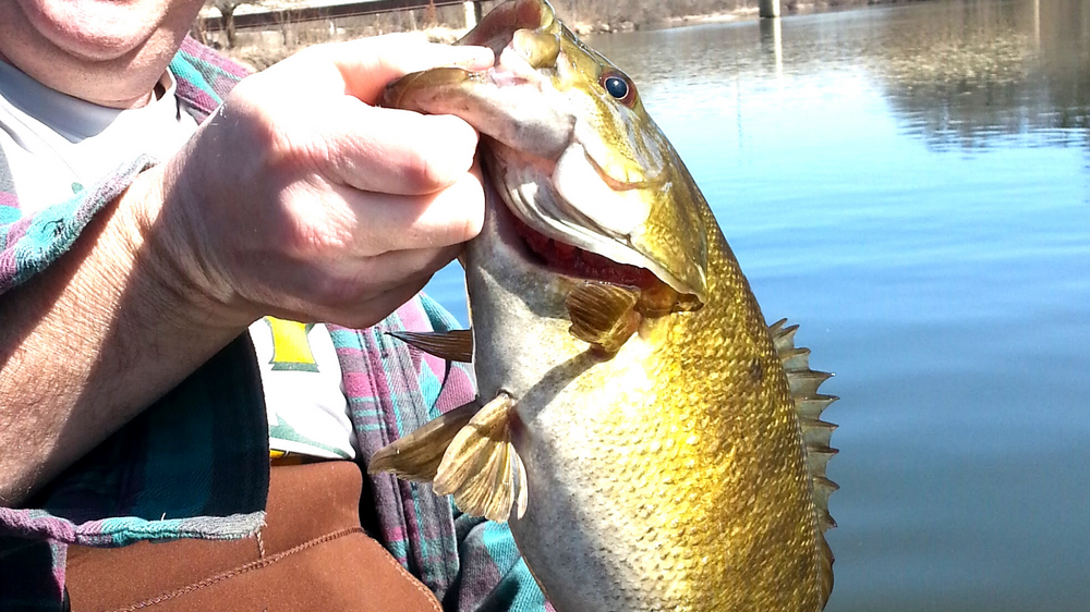 7 Tips for Bass Fishing During the Spawn