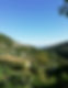 Immagine della nostra azienda agricola immersa nelle colline liguri