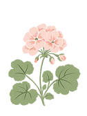 Untitled_Artwork 10.png