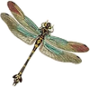 Green dragonfly.png