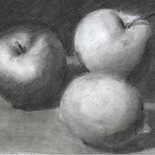 Drawing Courses in pencil, charcoal and ink