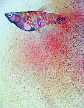 watercolour fish