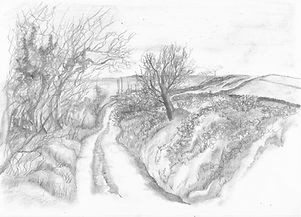 Landscape drawing