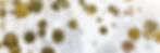 AdobeStock_112452790_edited.jpg