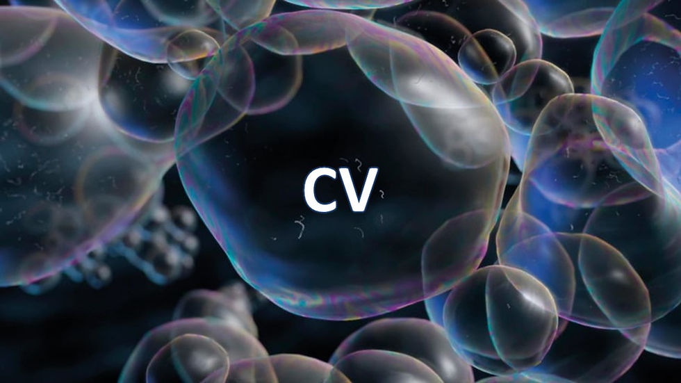cv