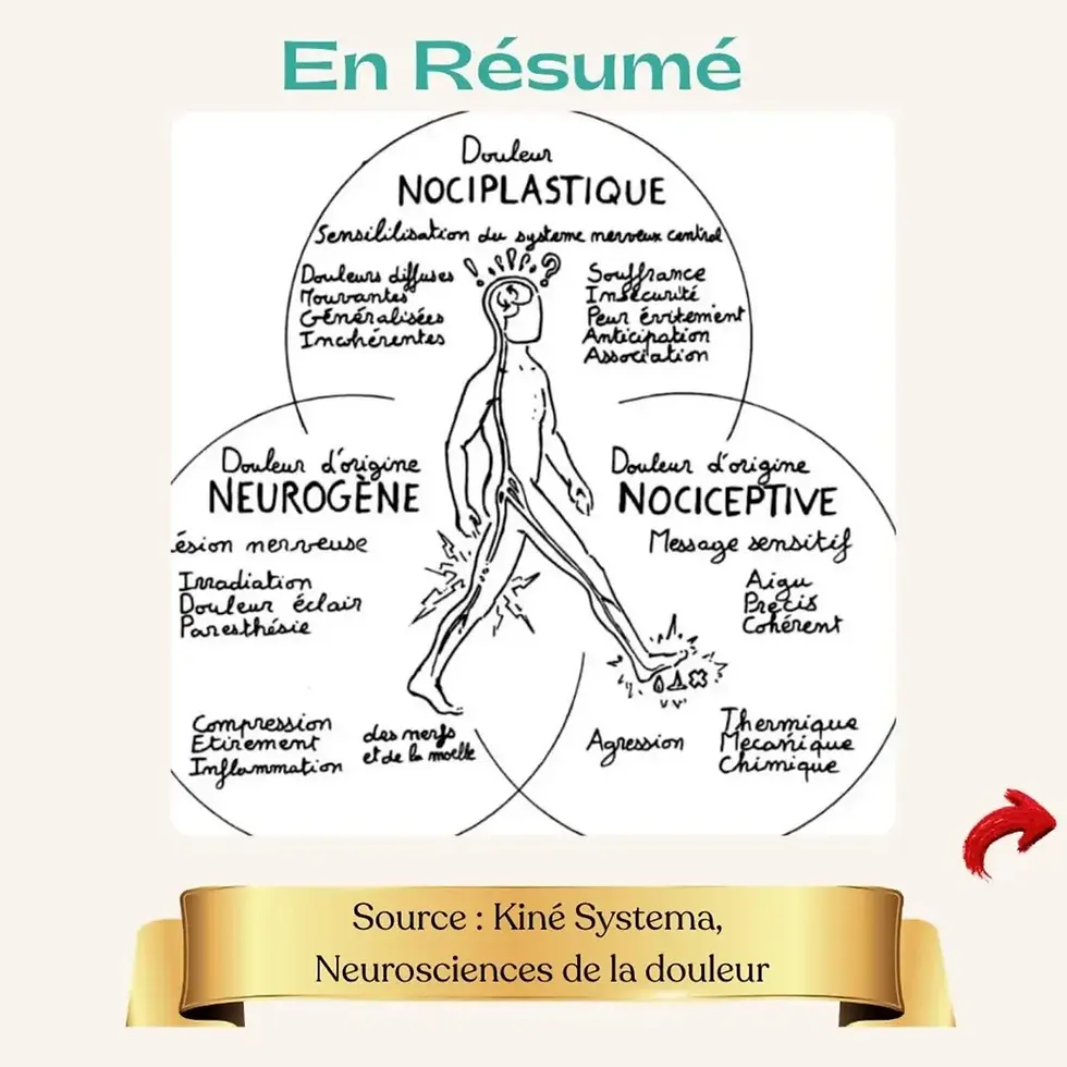 Schéma en noir et blanc illustrant les types de douleur: nociplastique, neurogène, nociceptive. Texte explicatif et source en bas.