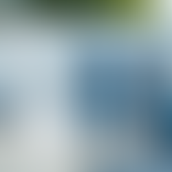 Residential and Commercial Pressure Washing Solutions