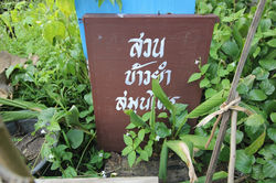 งานห้อง_8865