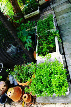 แก้ไข_2275