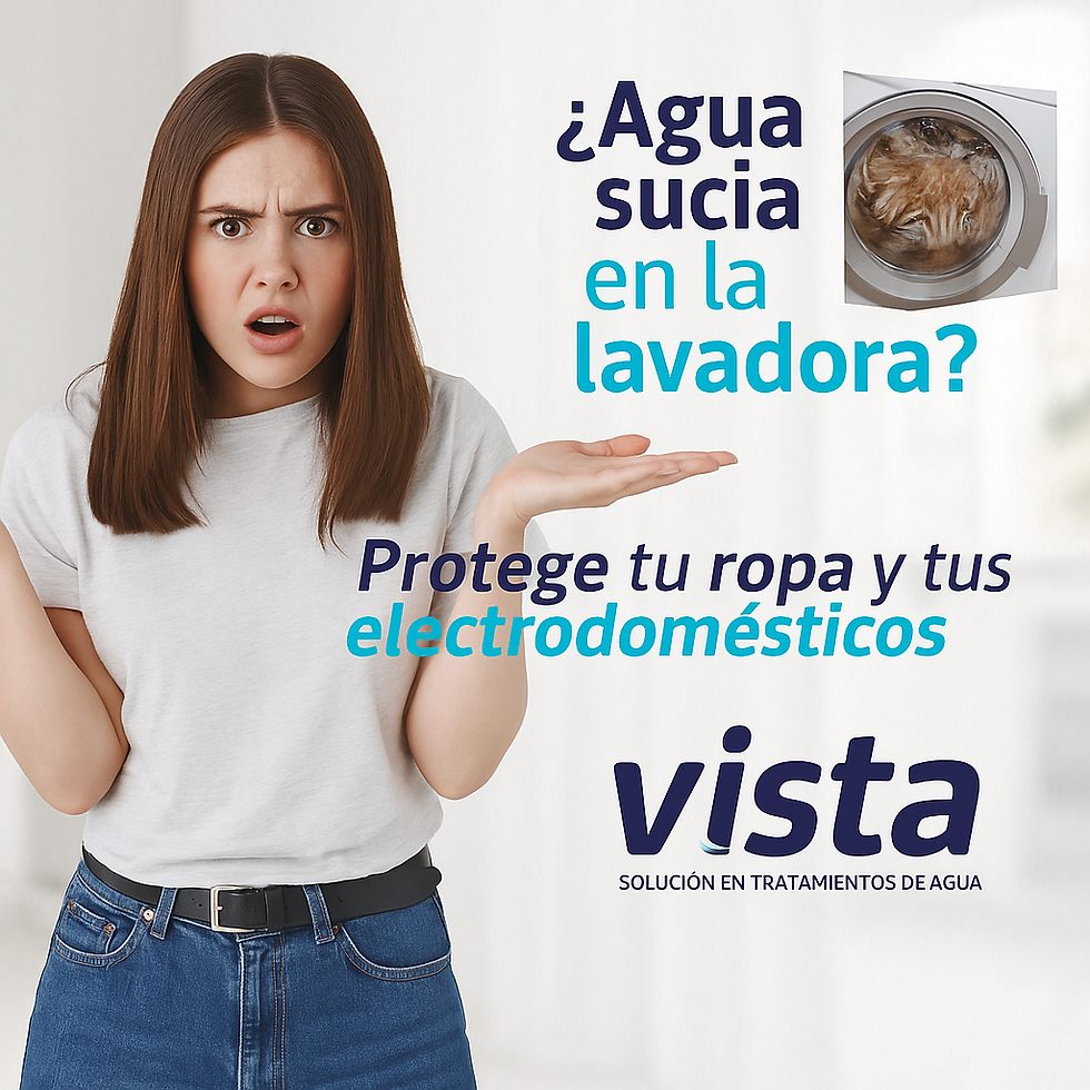 Miniatura: Filtro para lavadora - Vista Clean