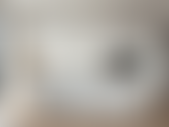 Transform Your Property: Showcase of Our Renovation Projects