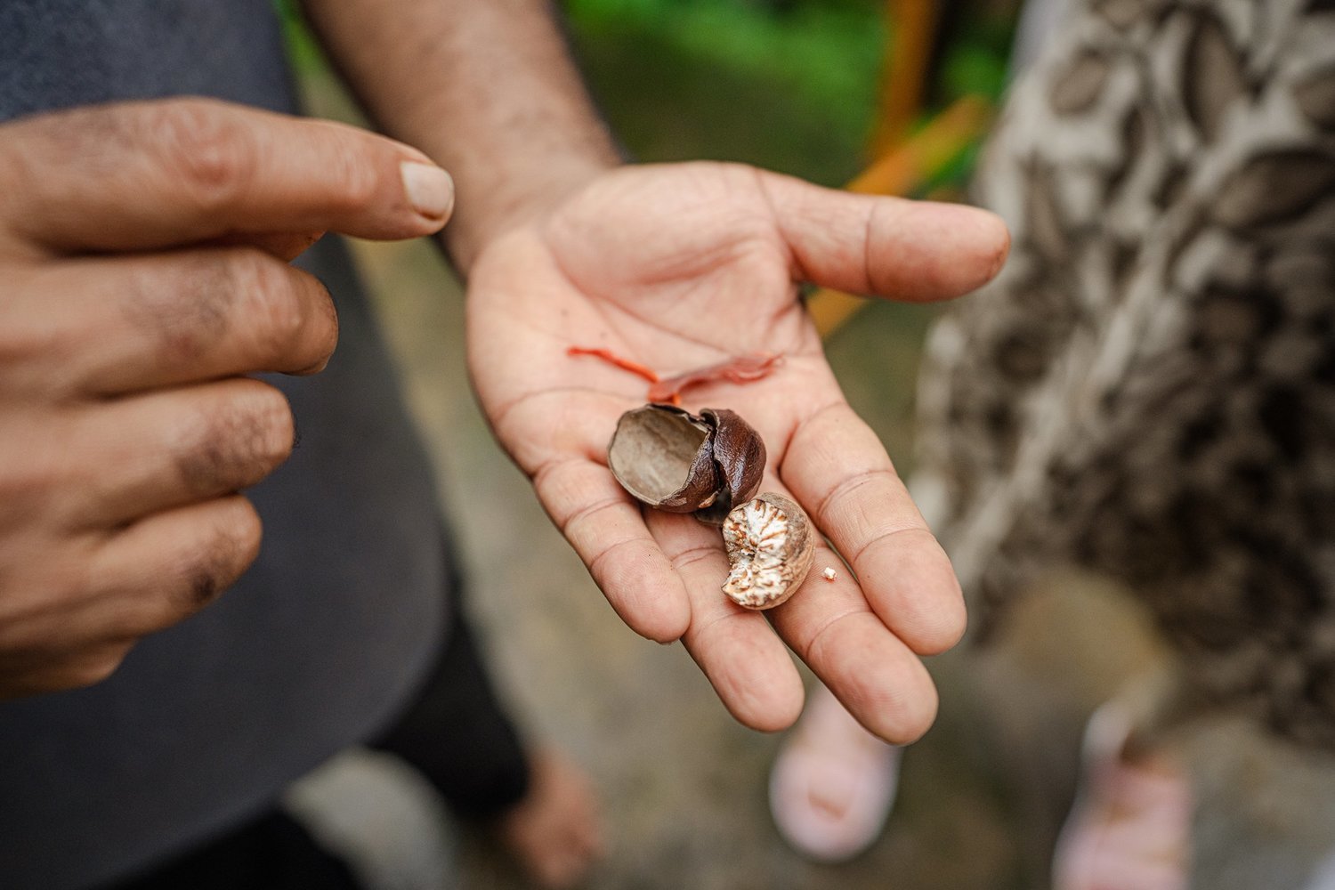 The Goan Hinterland: Caves & Carvings — 6