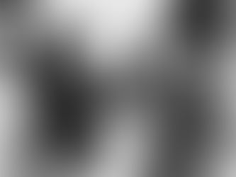 ג'רג' הריסון ואדולף היטלר