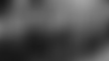 ביטלמניה - ההיית או חלמתי חלום?