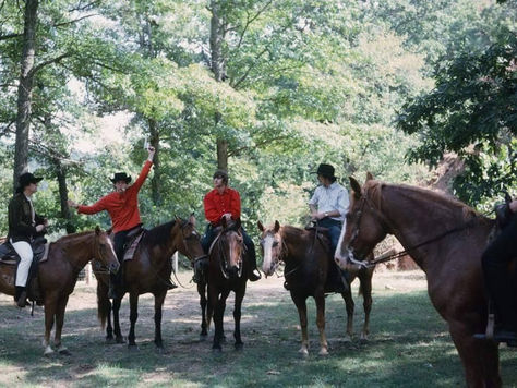 הסרט השלישי של הביטלס