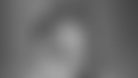 כאשר ג'ורג' הריסון שלח למעריצה הוראות בכתב איך לפגוע במכונית של פול מקרטני