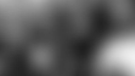 כשהפינק פלויד פגשו את הביטלס