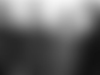 קריירות הסולו של חברי הביטלס לשעבר ממרחק השנים