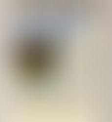 תעלומת הדוקטור – Dr. Robert