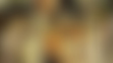 בית הבובות הלבן